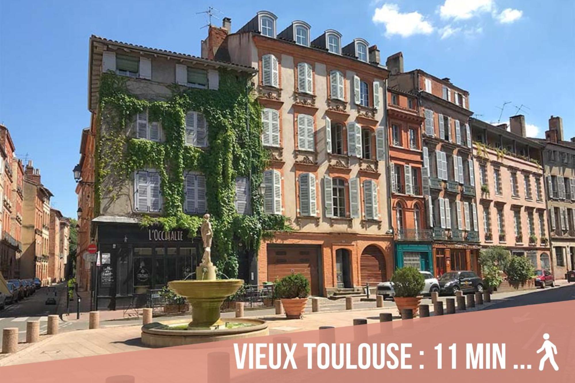 شقة Chartreuse, Clim, Parking, Terrasse Au Calme تولوز المظهر الخارجي الصورة