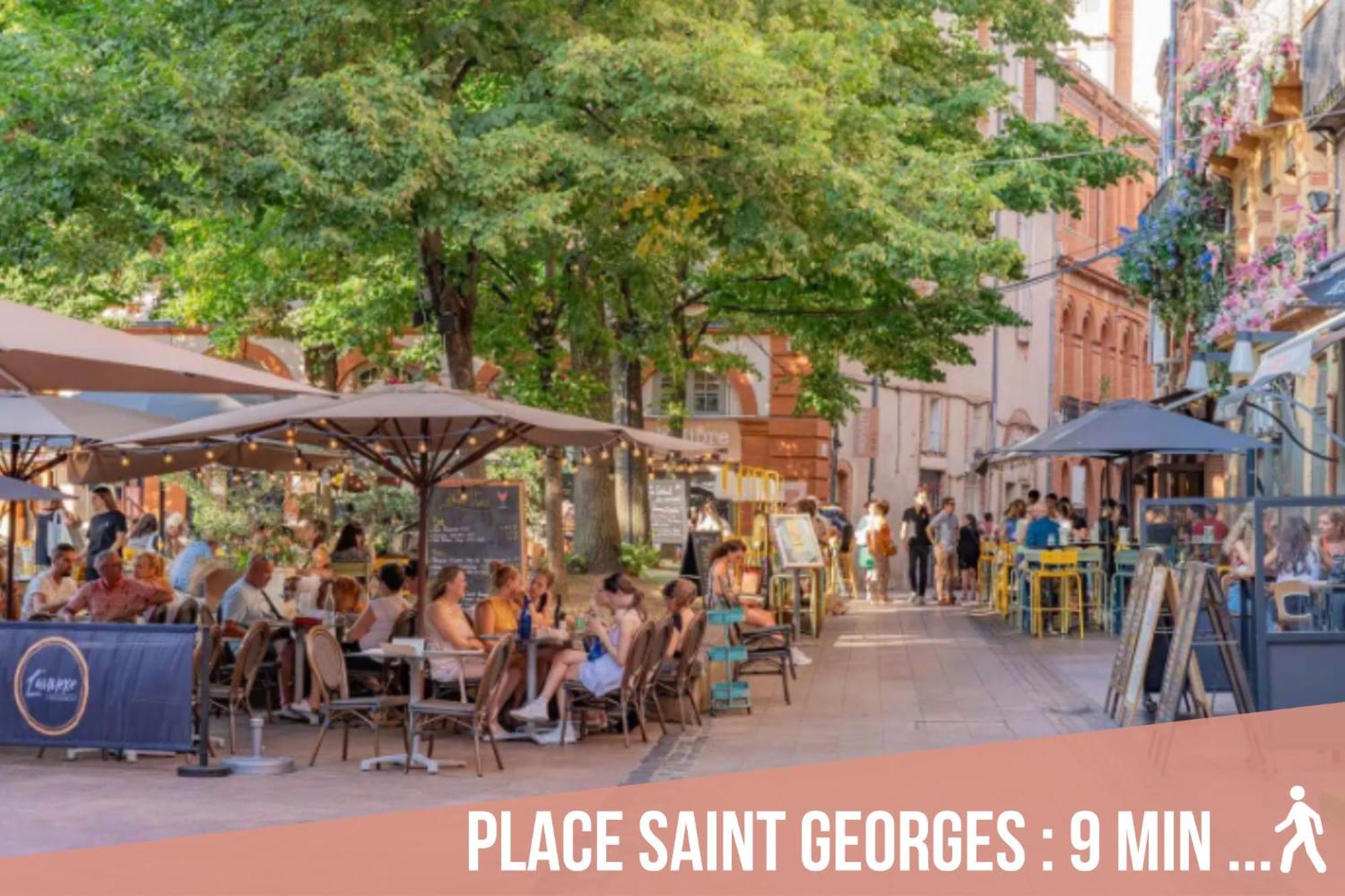 شقة Chartreuse, Clim, Parking, Terrasse Au Calme تولوز المظهر الخارجي الصورة