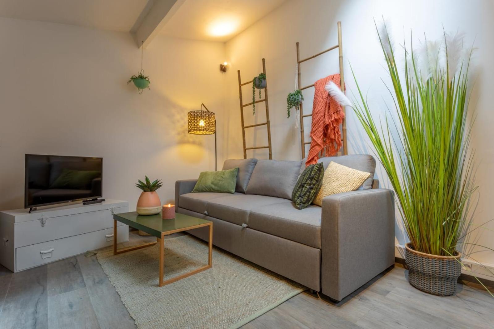 شقة Chartreuse, Clim, Parking, Terrasse Au Calme تولوز المظهر الخارجي الصورة