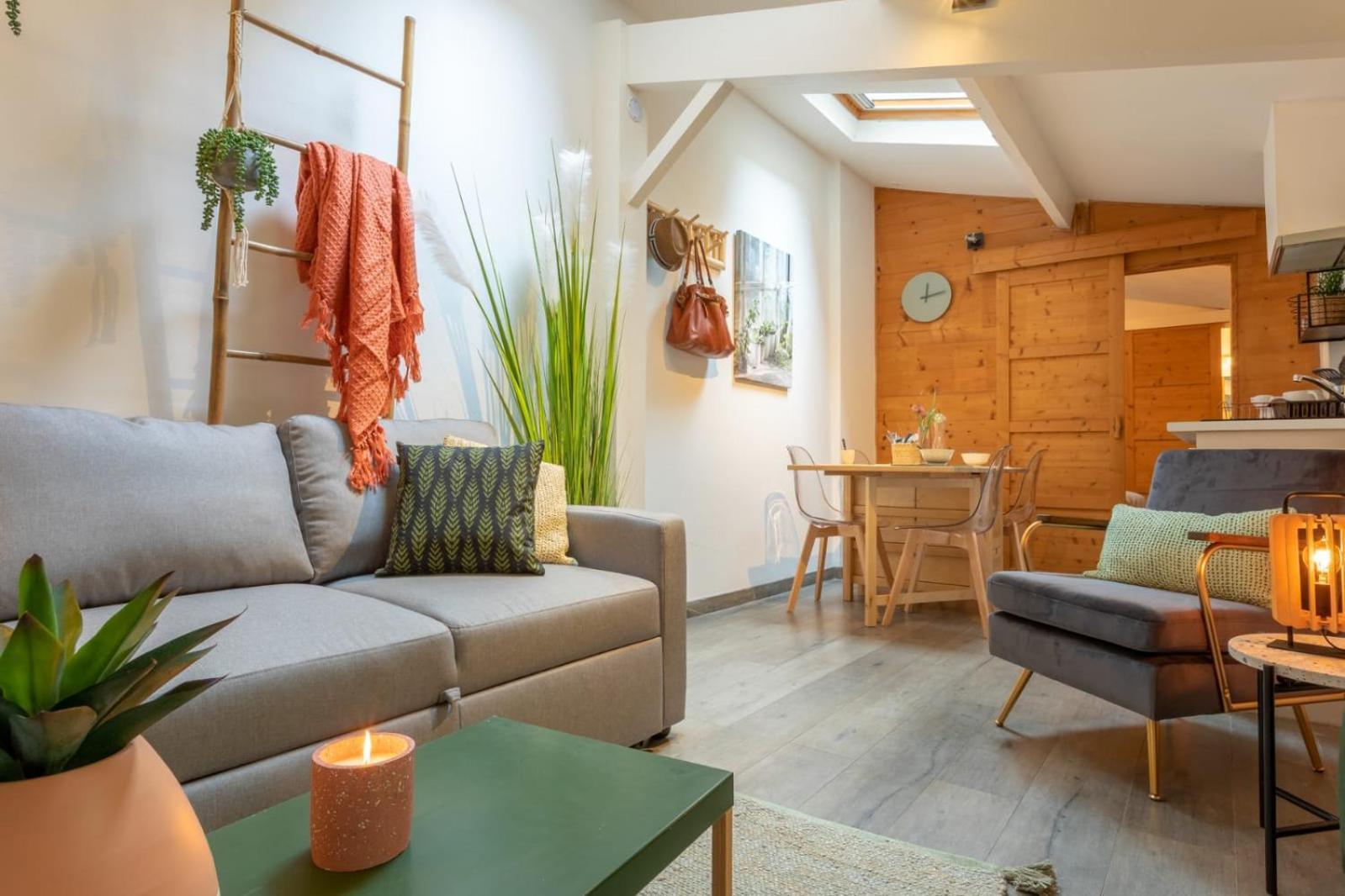 شقة Chartreuse, Clim, Parking, Terrasse Au Calme تولوز المظهر الخارجي الصورة